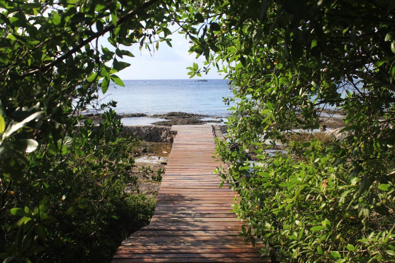 Confortable Casa En Cozumel, Condominio Con Vista Al Mar # 28 Екстериор снимка